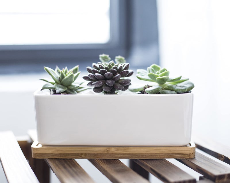 LANKER 6.5 Inch Rectangle White Ceramic Succulent Planter Pot Decorative Cactus Plant Pot Flower Container with Bamboo Tray (Rectangle 6.5 Inch) - Image 4