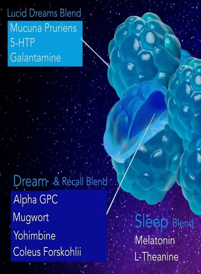Holistic MD Lucid Dreams Deep Sleep - Mugwort Herb 5 htp Mucuna Pruriens Choline Supplements - Gummies Sugar Free Vegan 60 ct - Image 2