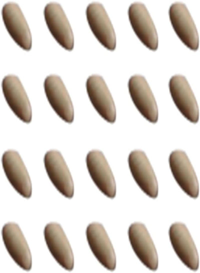 GGOOT 20Pcs/Bag Hypericum Perforatum Seeds Open-Pollinated Non-GMO Evengreen Fresh Garden Seedlings for Courtyard Garden Seedlings - Image 5