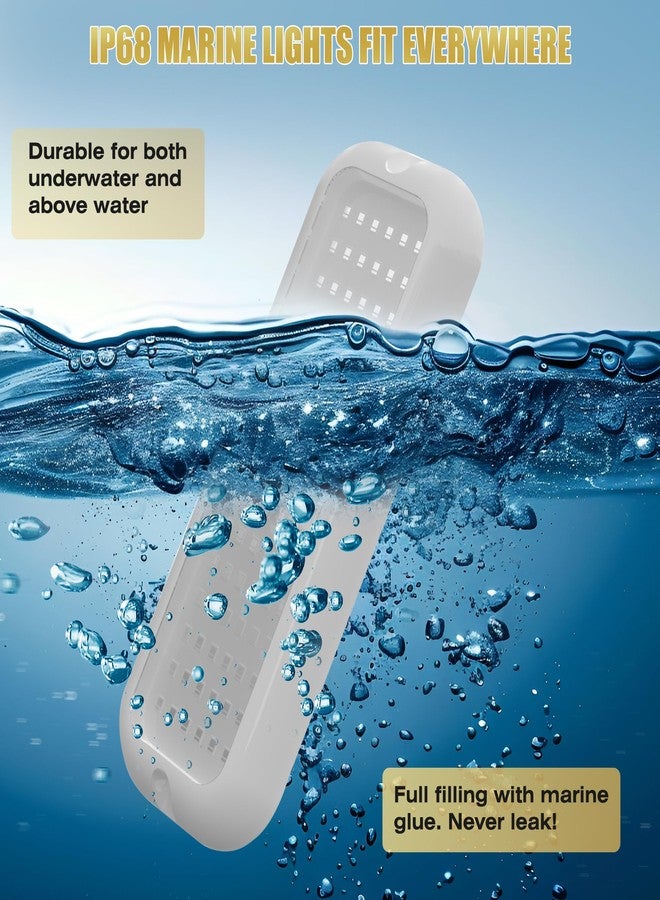 Goldlife مصابيح Goldlife B5 تحت الماء للقوارب، أزرق 2x3000 لومن DC12V IP68، غلاف أبيض وعدسة شفافة، مصابيح بحرية مقاومة للماء لليخوت والقوارب والعوامات الخارجية والداخلية والسطح الخلفي والمركبات الترفيهية والصيد (B5-02) - Image 3