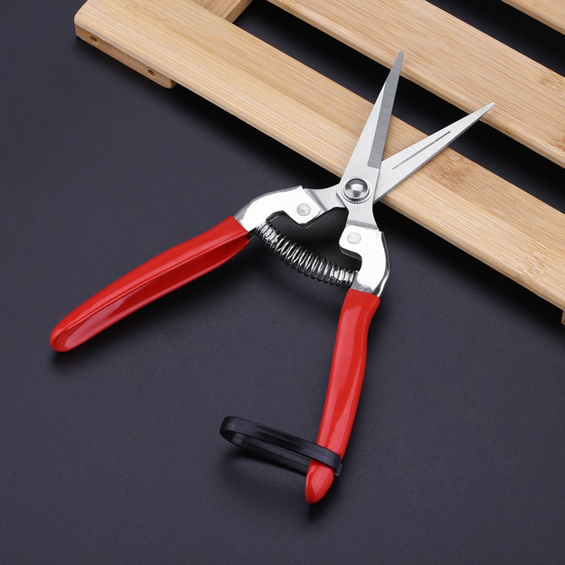 1Pc Sturdy Fruit Tree Bonsai Gardening Pruning Shear Garden Scissors Pruner Tool Straight Blade - Image 3