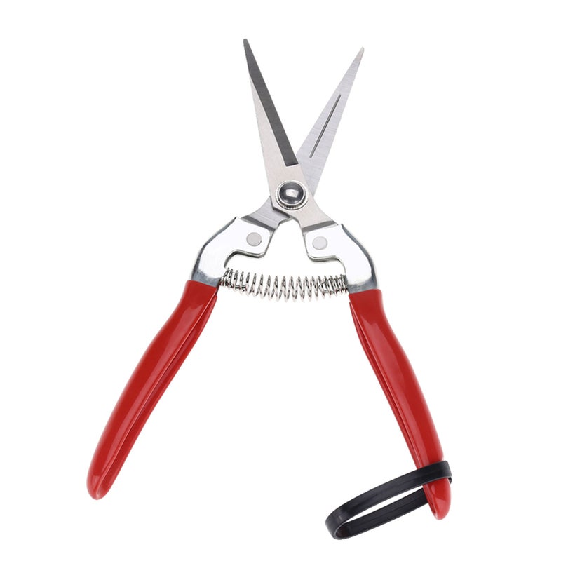 1Pc Sturdy Fruit Tree Bonsai Gardening Pruning Shear Garden Scissors Pruner Tool Straight Blade - Image 4