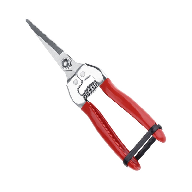 1Pc Sturdy Fruit Tree Bonsai Gardening Pruning Shear Garden Scissors Pruner Tool Straight Blade - Image 1