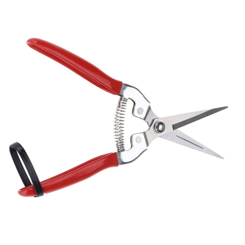 1Pc Sturdy Fruit Tree Bonsai Gardening Pruning Shear Garden Scissors Pruner Tool Straight Blade - Image 5