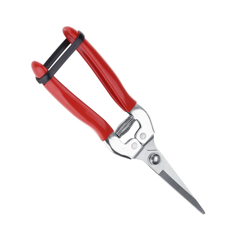 1Pc Sturdy Fruit Tree Bonsai Gardening Pruning Shear Garden Scissors Pruner Tool Straight Blade - Image 2
