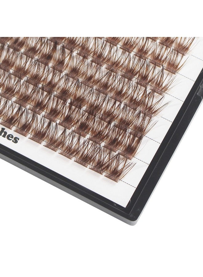 Hannahool 120Pcs D Curl Individual Wide Stem Brown Cluster Diy Eye Lashes Extensions Mixed 1214Mm 1416Mm 1618Mm Makeup Dramatic Volume Lashes (Brown1416Mm) - Image 3