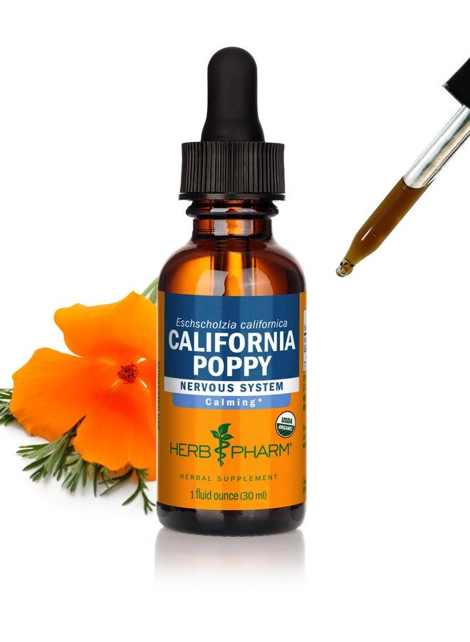 HERB PHARM مستخلص سائل من الخشخاش كاليفورنيا العضوي المعتمد من هيرب فارم لدعم تهدئة الجهاز العصبي - 1 أونصة - Image 1