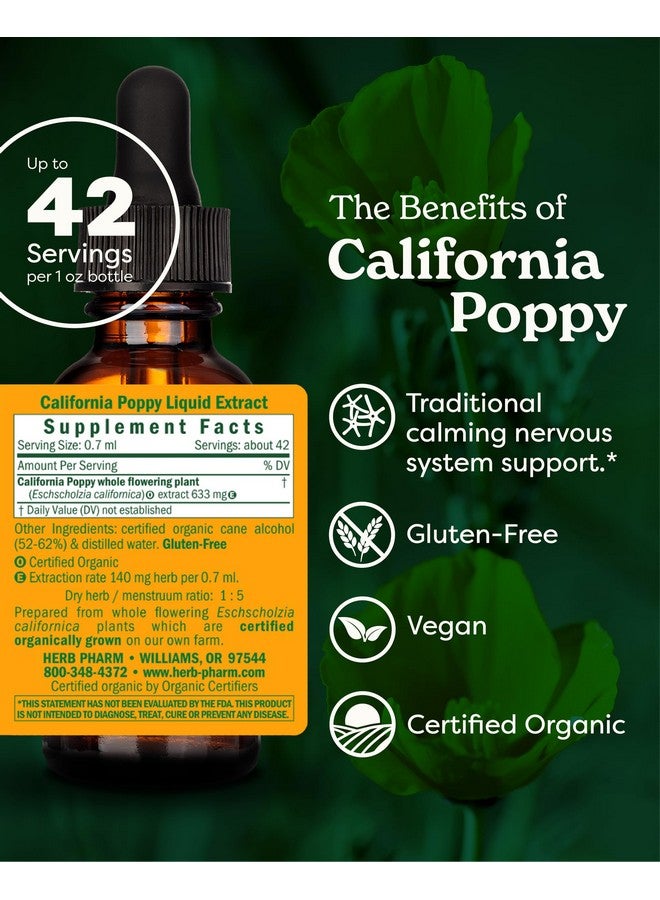 HERB PHARM مستخلص سائل من الخشخاش كاليفورنيا العضوي المعتمد من هيرب فارم لدعم تهدئة الجهاز العصبي - 1 أونصة - Image 2