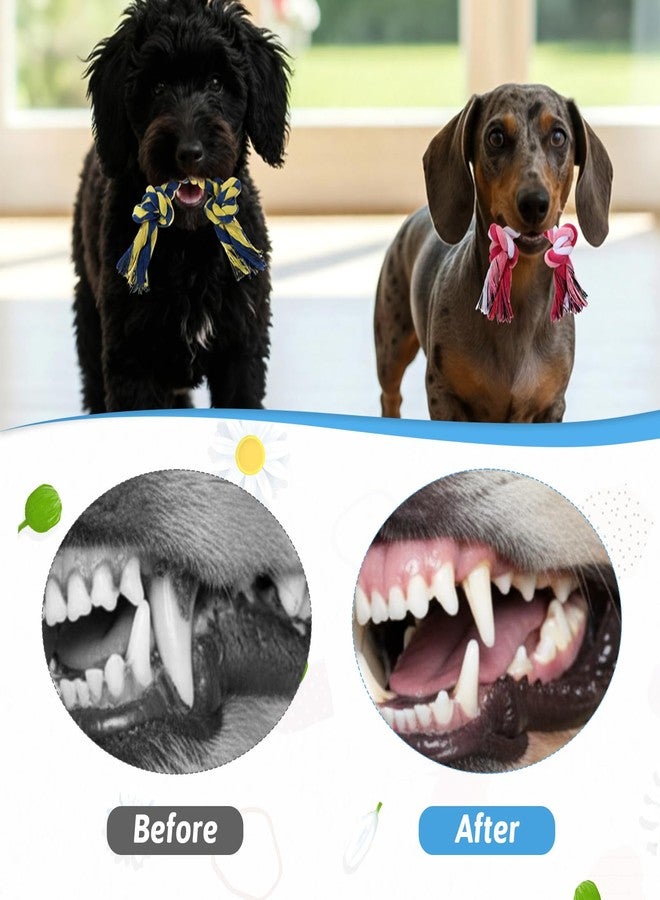 Xosjska 100 Pieces Knot Rope Dog Toys, 100% Cotton Dog Rope Toys Bulk, Multi Color Puppy Chew Toy, Ropes Dogs Toyss for Aggressive Chewers Durable Puppy Tug of War Toy with Knot for Small and Medium Dogs - Image 4