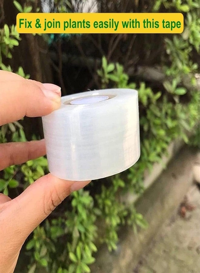 ecofynd 3 inch x 100meter Grafting Stretchable Tape for Nursery and Garden, Degradable Plant Repair Tapes Self-Grafting Clear Film for Fruit, Floral, Tree and Plants Grafting Film Tool (Pack of 1) - Image 4