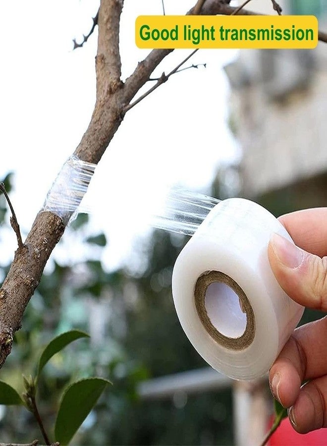 ecofynd 3 inch x 100meter Grafting Stretchable Tape for Nursery and Garden, Degradable Plant Repair Tapes Self-Grafting Clear Film for Fruit, Floral, Tree and Plants Grafting Film Tool (Pack of 1) - Image 3