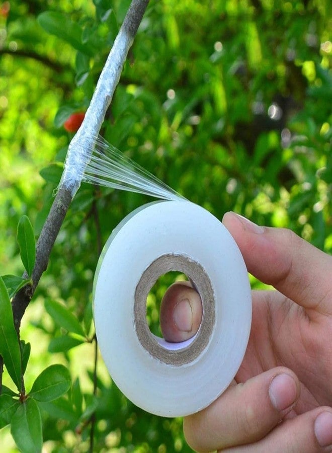 ecofynd 3 inch x 100meter Grafting Stretchable Tape for Nursery and Garden, Degradable Plant Repair Tapes Self-Grafting Clear Film for Fruit, Floral, Tree and Plants Grafting Film Tool (Pack of 1) - Image 1