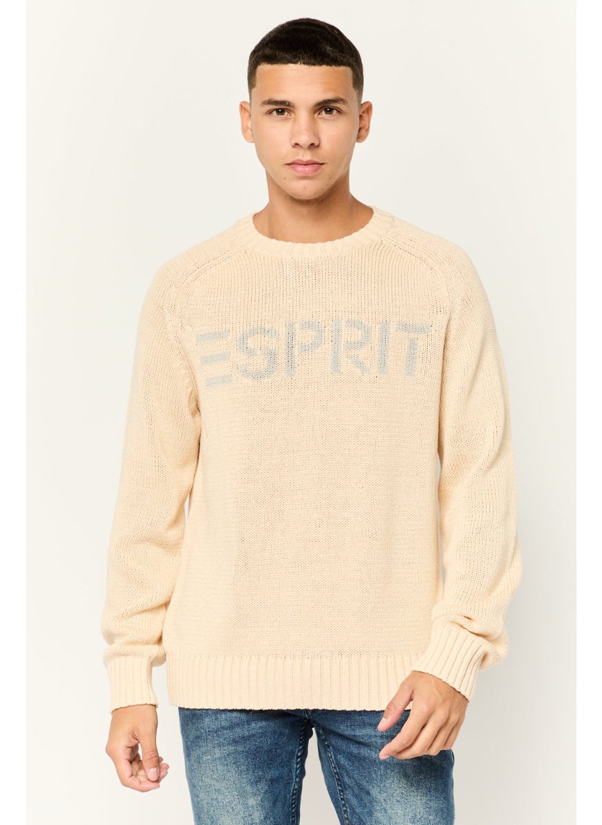 ESPRIT - Men Ribbed Collar Long Sleeves Knitted Sweaters, Beige - Image 1