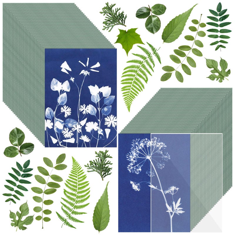 LIGHOON Sun Print Paper Kit Cyanotype Paper, 60 Sheets Cyanotype Papers with 1 Sheet Acrylic Panel, High Sensitive Nature Solar Activated Printing Art Supplies for Arts Crafts DIY Project - Image 1