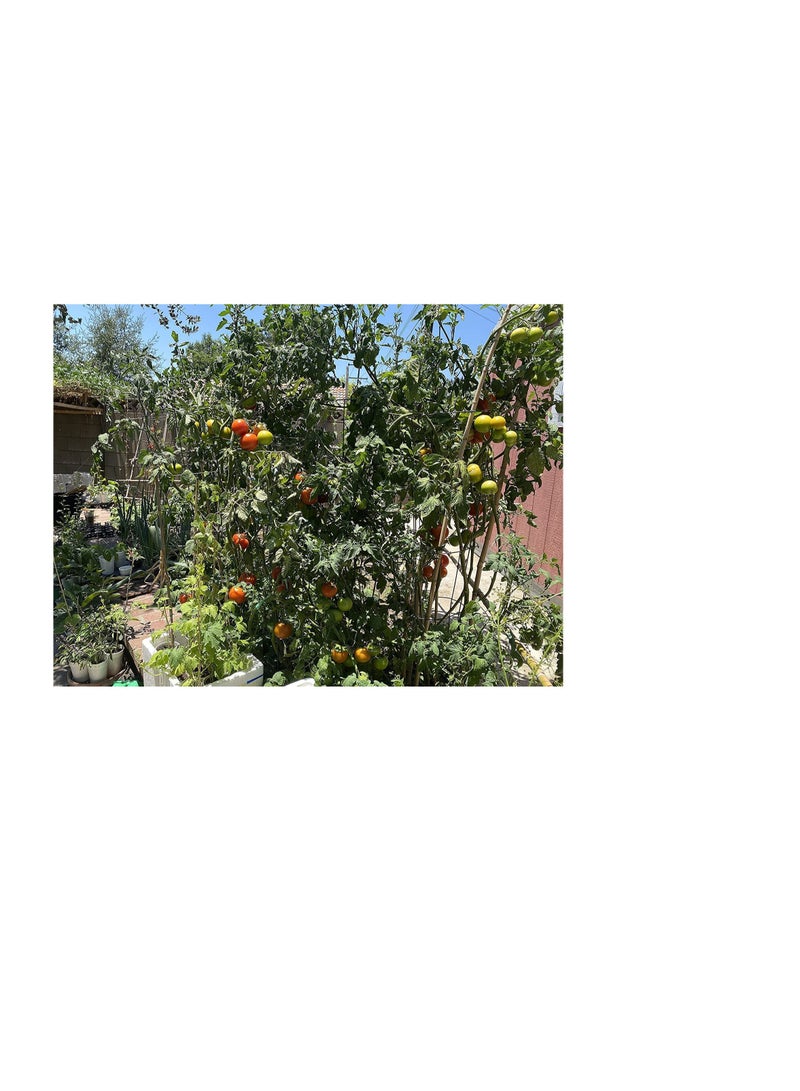 خليط سماد البقر والدواجن 15 كجم - Image 3