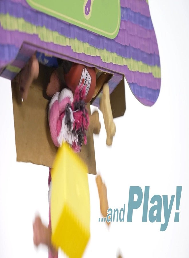 Jokari Woof Party Pull String Dog Toy Pinata. Fill Bone Shaped Box with Your Pup’s Favorite Treats, Snacks, Favors, Accessories or More. Attached Rope Tears Open, Dispenses Prizes for Everyone (Bone) - Image 5