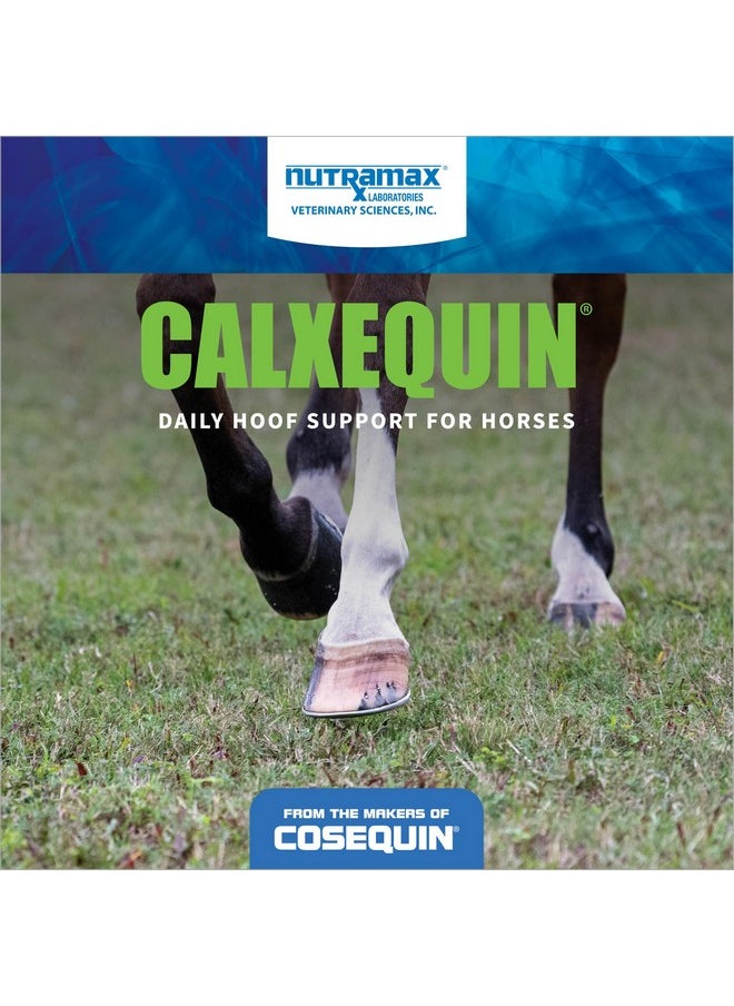 Nutramax Laboratories Nutramax Calxequin Pellets Daily Hoof Support For Horses With Vitamin E + Selenium, 1260 Grams  - Image 3