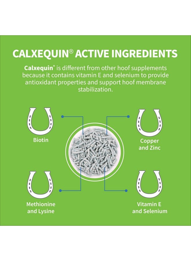 Nutramax Laboratories Nutramax Calxequin Pellets Daily Hoof Support For Horses With Vitamin E + Selenium, 1260 Grams  - Image 4