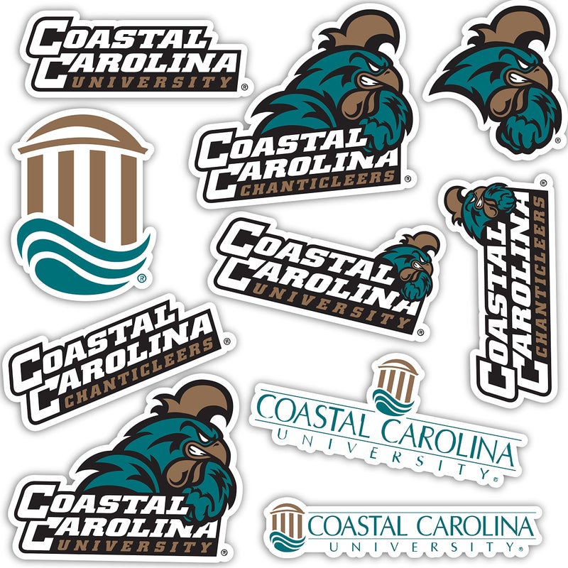 Desert Cactus Coastal Carolina University Sticker Chanticleers CCU Vinyl Decals Laptop Water Bottle Car Scrapbook Sheet T2 Type 2