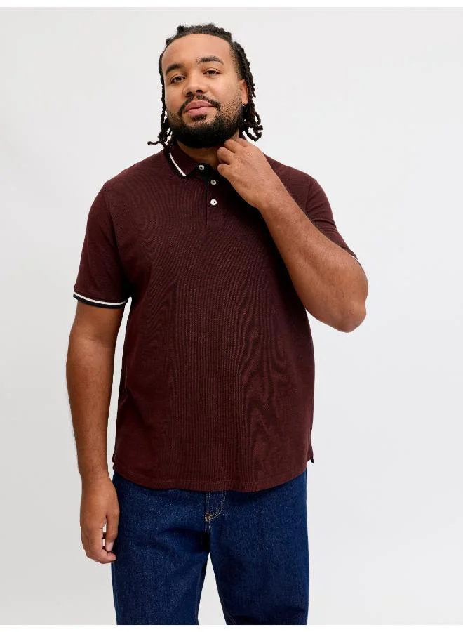Solid Plus size Regular Fit Polo
