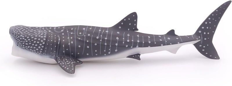 Papo  Whale Shark  Realistic Figurine  for Ages 3  Marine Life Collection  Hand Painted  Highly Detailed  Durable and Educational  Gift Idea  Collectable  Whale Shark Toy - Image 5