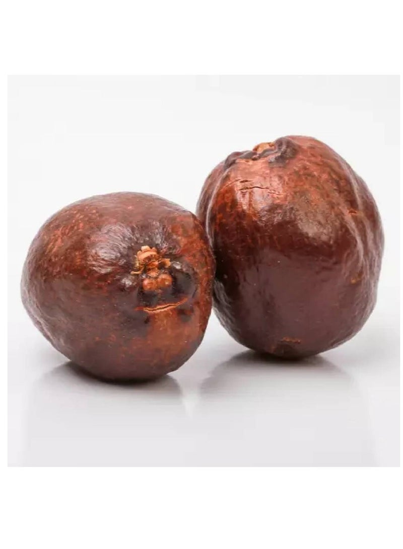 Adam Booti 500gm - Image 2