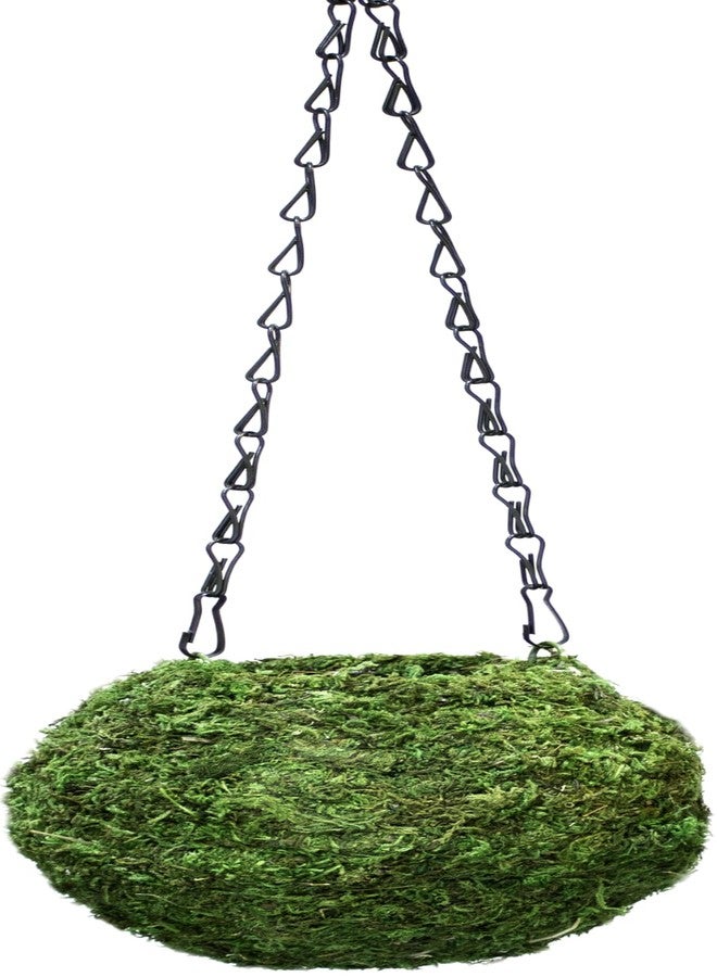 Super Moss (29348) Kokedama Planter, 6", Fresh Green - Image 1
