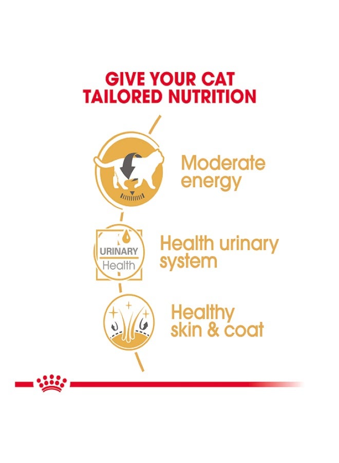 Royal Canin British Shorthair Adult Wet Cat Food Pouches, 12 x 85g - Image 3