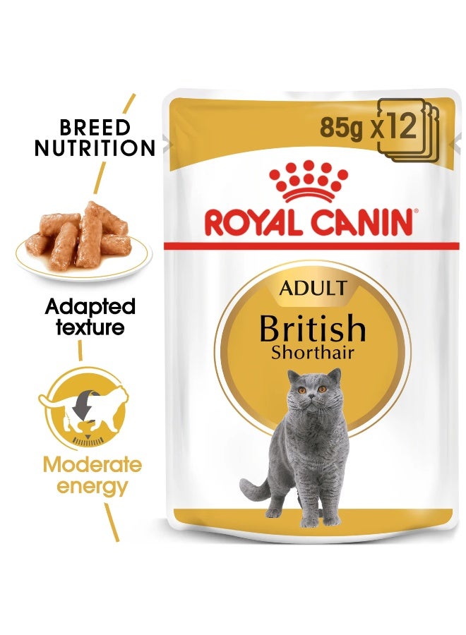 Royal Canin British Shorthair Adult Wet Cat Food Pouches, 12 x 85g