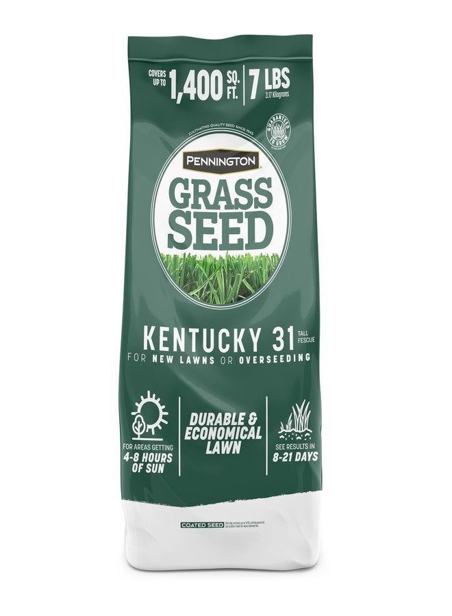 Pennington Kentucky 31 Tall Fescue Penkoted Grass Seed 7 lb - Image 1
