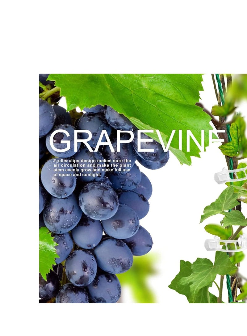 Zikra 200 Pcs Plant Support Garden Clips Tomato Trellis Clip Tomato Vine Clips Help Vine Vegetables to Grow Upright and Make Plants Healthier - Image 3