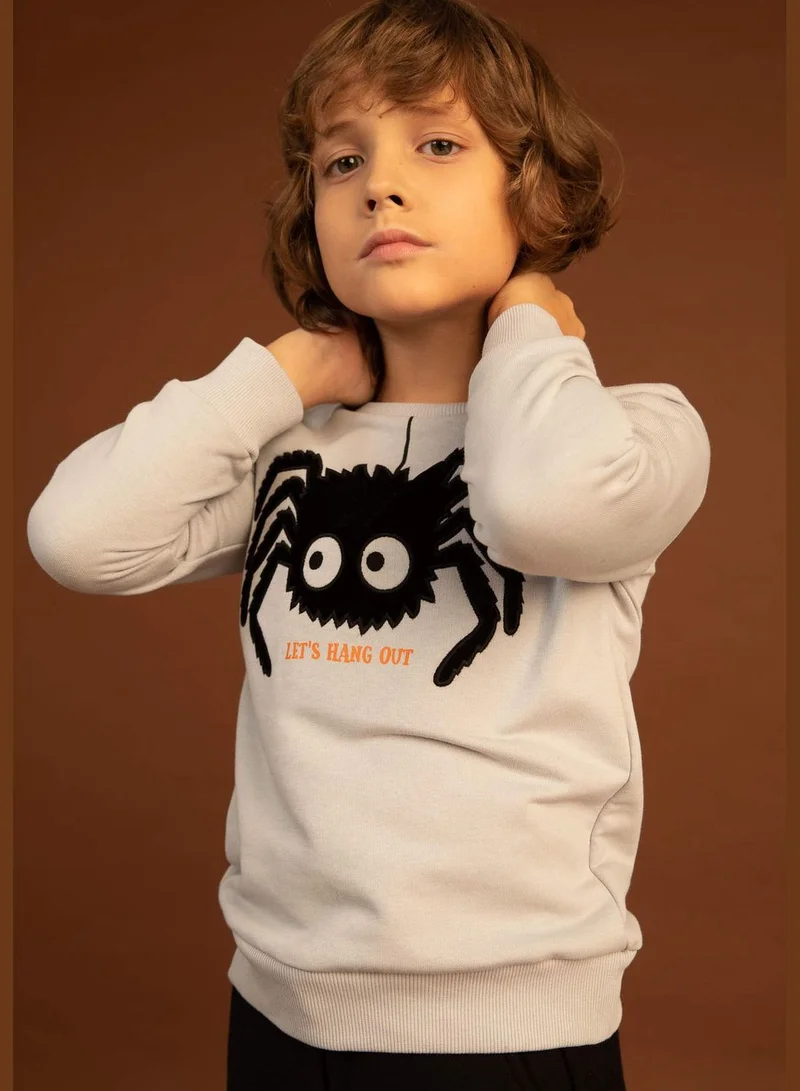DeFacto Boy Crew Neck Long Sleeve Knitted Sweatshirt