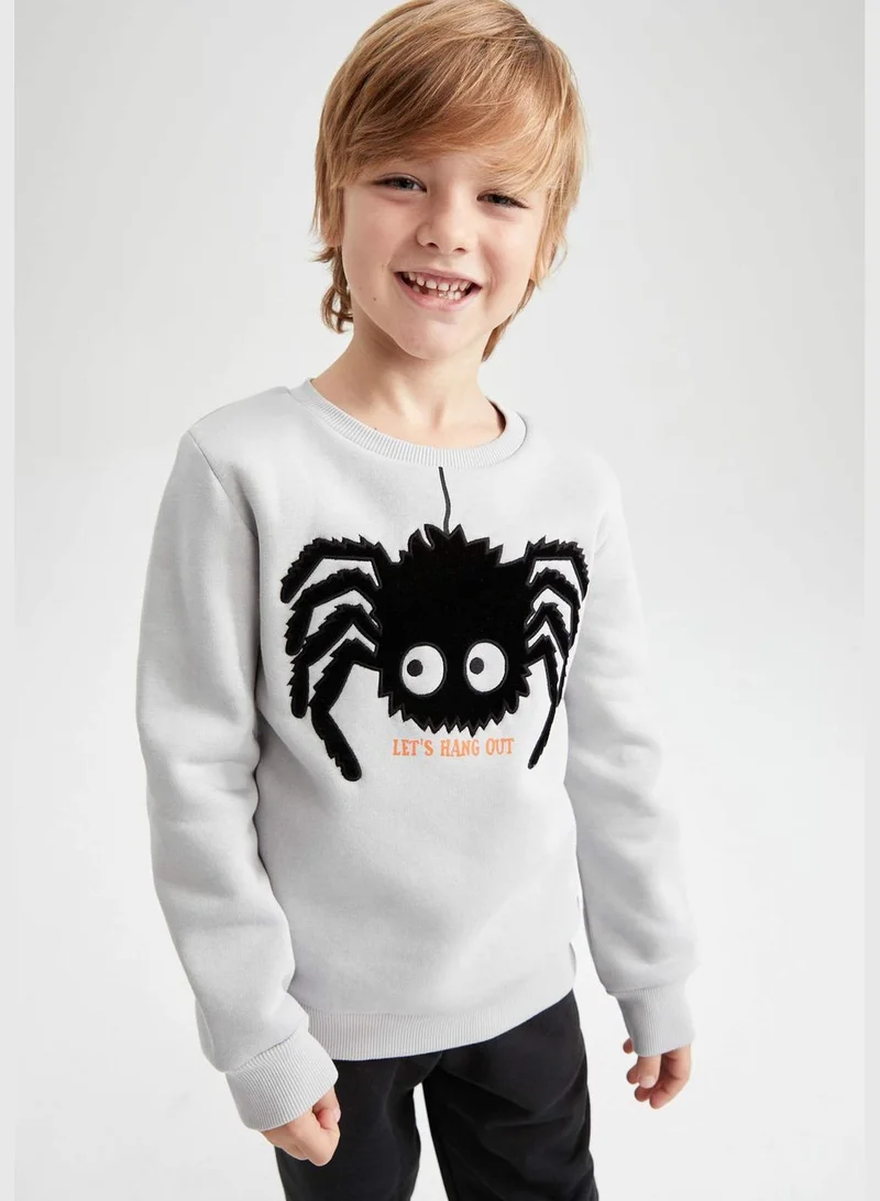 DeFacto Boy Crew Neck Long Sleeve Knitted Sweatshirt
