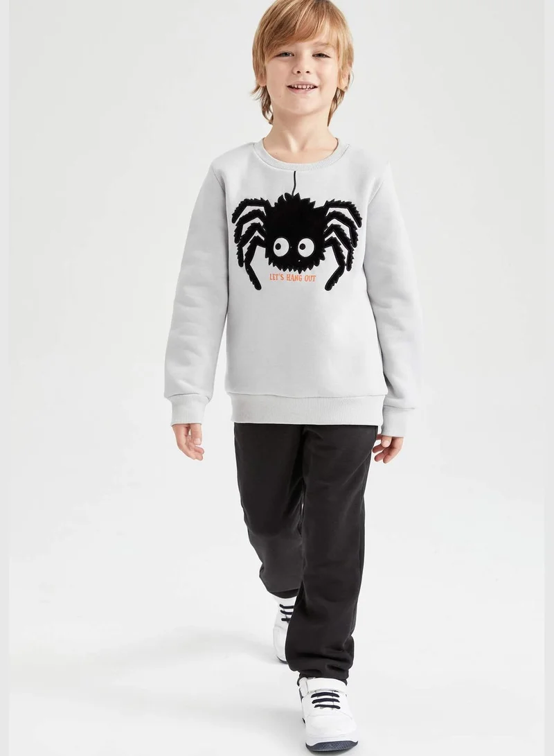 DeFacto Boy Crew Neck Long Sleeve Knitted Sweatshirt