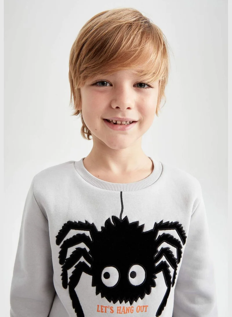 DeFacto Boy Crew Neck Long Sleeve Knitted Sweatshirt
