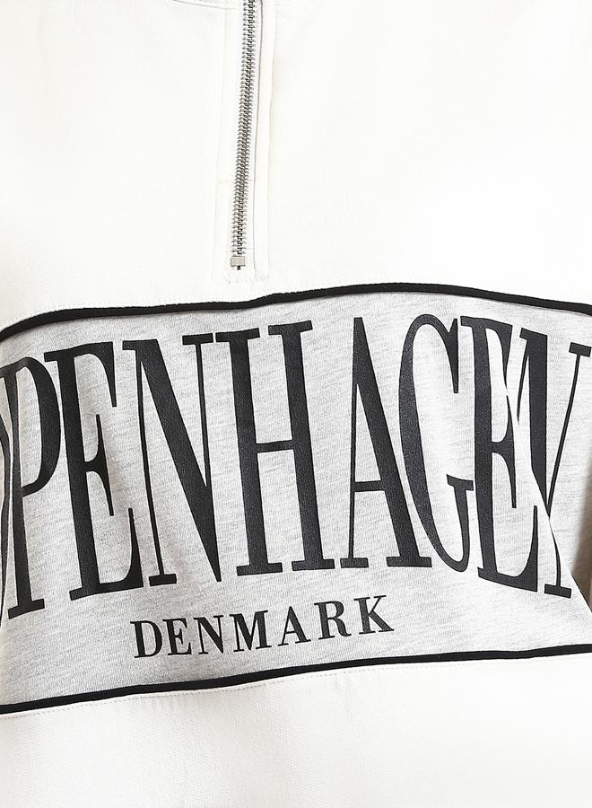 LC WAIKIKI Funnel Neck Printed Oversize Women's Thick Sweatshirt - Image 3