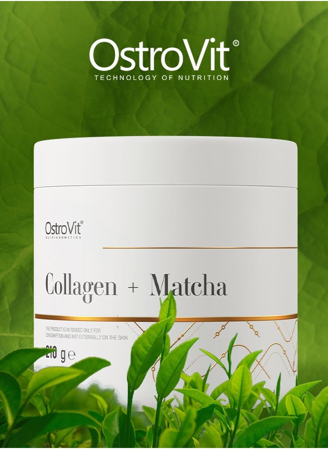 OstroVit - Collagen Matcha 210g Unflavour – Supports Skin, Joint Health & Antioxidant Protection – Collagen Peptides & Matcha Green Tea - Image 1