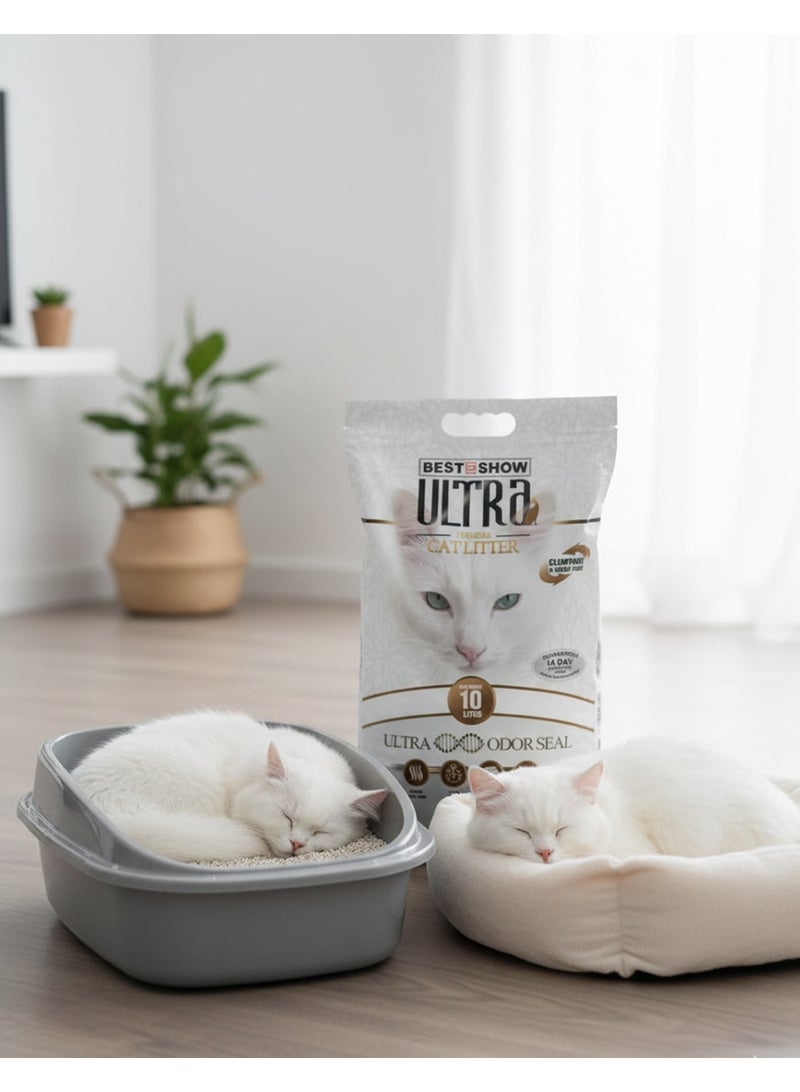Ultra Odor Seal Unscented Clumping Cat Litter with Charcoal Granules 10L - Image 4