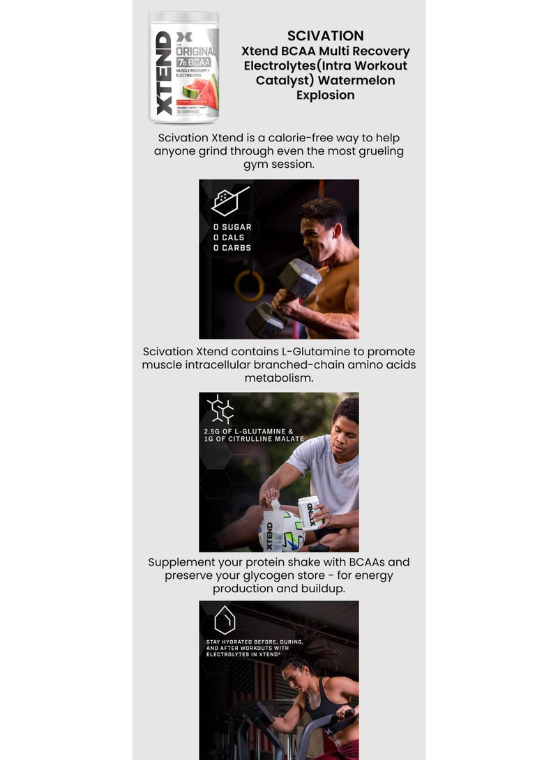 SCIVATION XTEND Original Intra-Workout BCAA Powder Watermelon | 7g BCAAs + Electrolytes | Zero Carbs Zero Sugar - Image 2