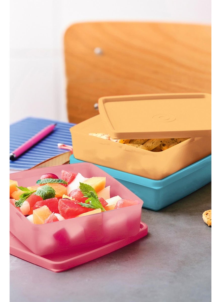 Tupperware Eco+ Square 3-Piece Carrying Container Set  - Image 3