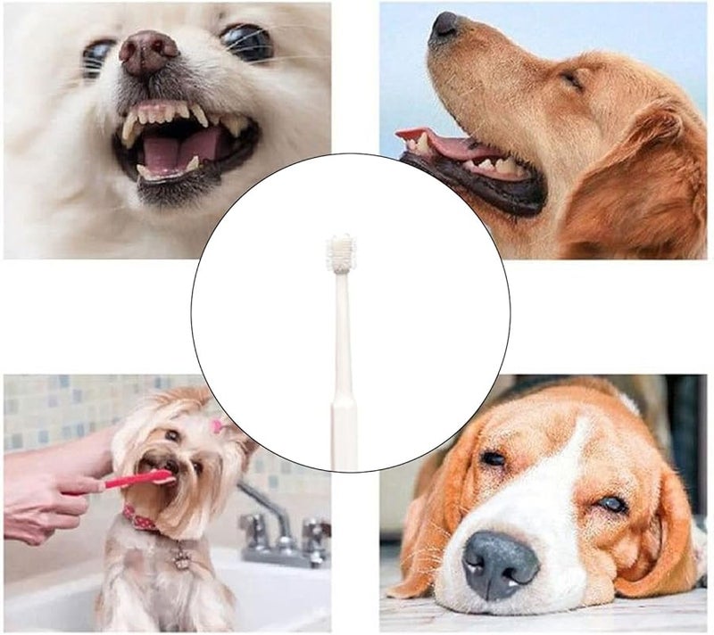 360 Degree Rotating Dog Toothbrush For Puppy And Adult Dogs Blue - Image 5