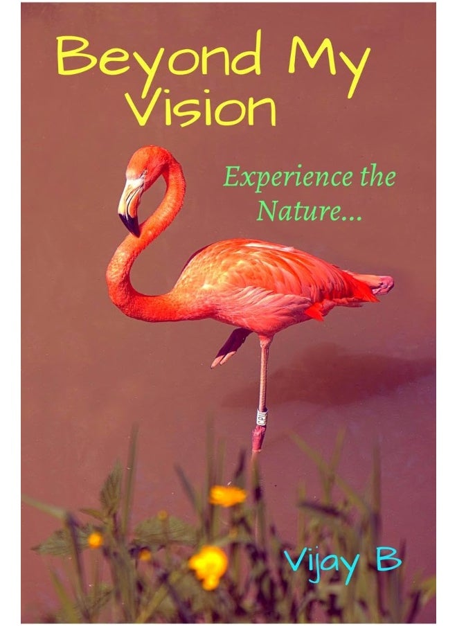 Beyond My Vision 