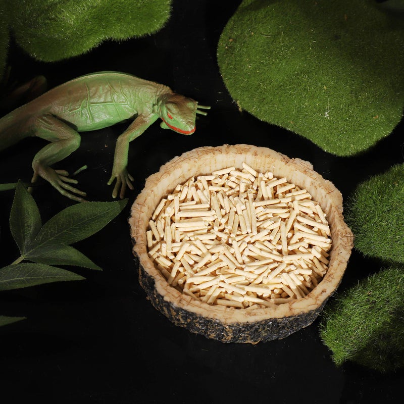 CalPalmy 2 Pack Reptile Water and Food Bowls, Novelty Food Bowl for Lizards, Young Bearded Dragons, Small Snakes and More - Made from BPA-Free Plastic - Image 5