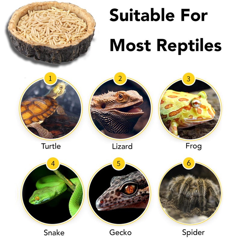 CalPalmy 2 Pack Reptile Water and Food Bowls, Novelty Food Bowl for Lizards, Young Bearded Dragons, Small Snakes and More - Made from BPA-Free Plastic - Image 4