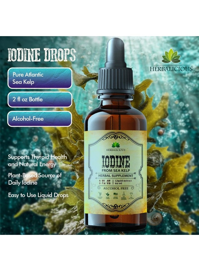 HERBALICIOUS قطرات اليود هيرباليسيوس - سائل يود طبيعي من الطحالب البحرية - مكمل للغدة الدرقية للطاقة والهضم ودعم المناعة - تركيبة عضوية غير معدلة وراثيًا - 2 أونصة سائلة - Image 2