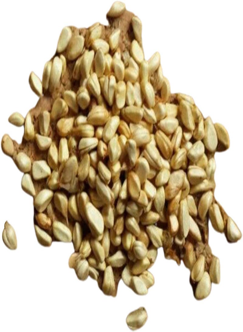 GGOOT 100Pcs Multi Colour Rainbow Rose Seeds Garden Plants Seeds Rare Rose Flower Seeds for Home Garden Yard Decoration Rose Seed - Image 5