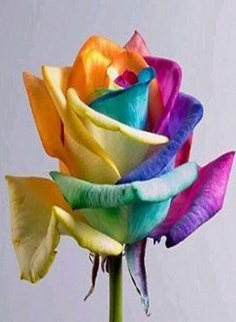 GGOOT 100Pcs Multi Colour Rainbow Rose Seeds Garden Plants Seeds Rare Rose Flower Seeds for Home Garden Yard Decoration Rose Seed - Image 3