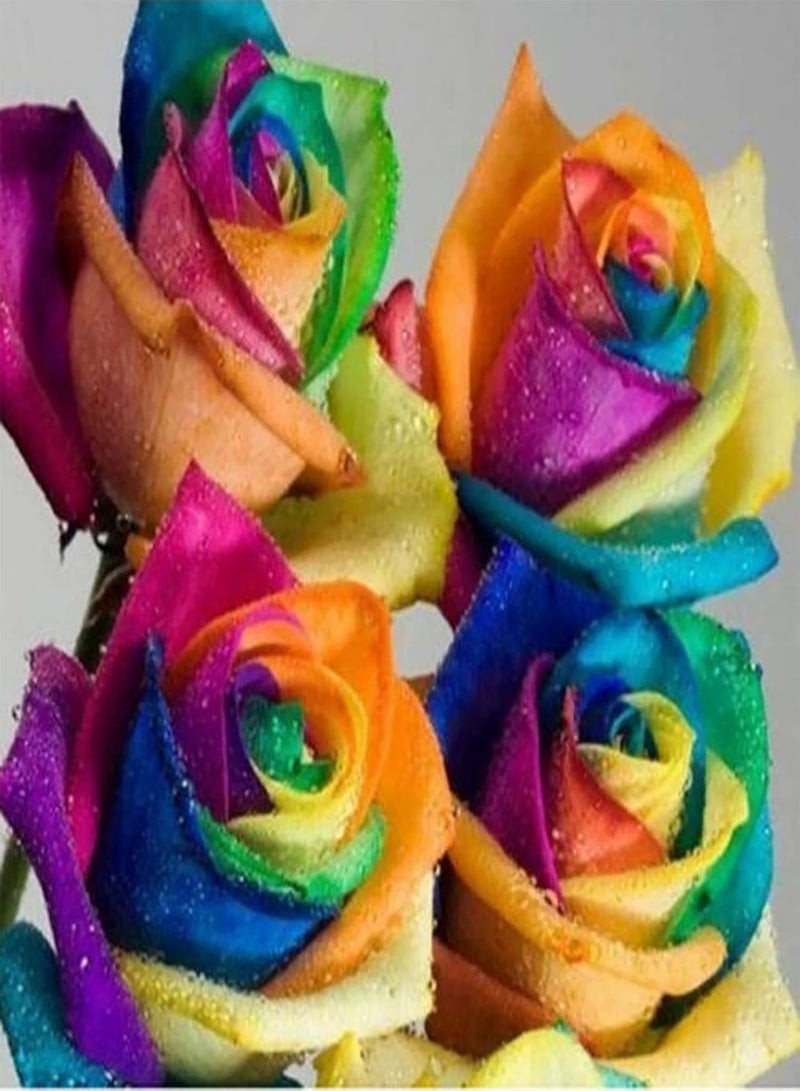 GGOOT 100Pcs Multi Colour Rainbow Rose Seeds Garden Plants Seeds Rare Rose Flower Seeds for Home Garden Yard Decoration Rose Seed - Image 2