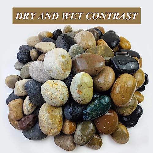 FANTIAN 20 lbs Large River Rocks for Outdoor Landscaping, 3-4 Inch Decorative Pebbles for Landscaping Garden Yard Paving Fish Tank Plant Crafting Walkways and Painting - Image 2