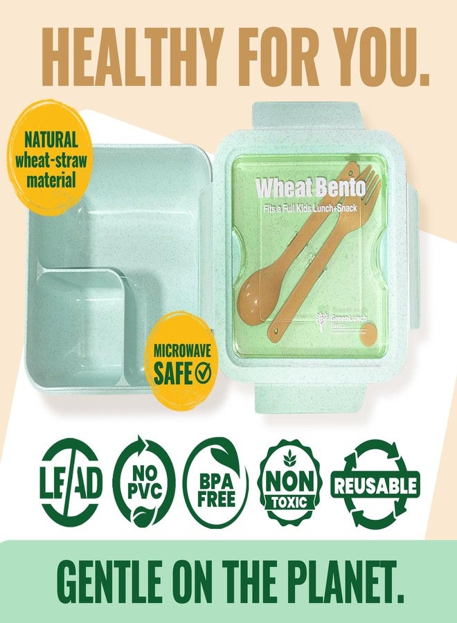 GreenLunch Bento علبة غداء بينتو قابلة للتحلل الحيوي من ويت وير، حاوية تخزين طعام ووجبات خفيفة للأطفال، طقم علبة غداء بينتو من قش القمح للأطفال - أخضر - Image 5